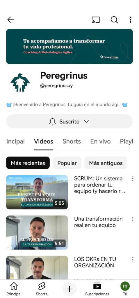 peregrinus-cana-youtube-claro
